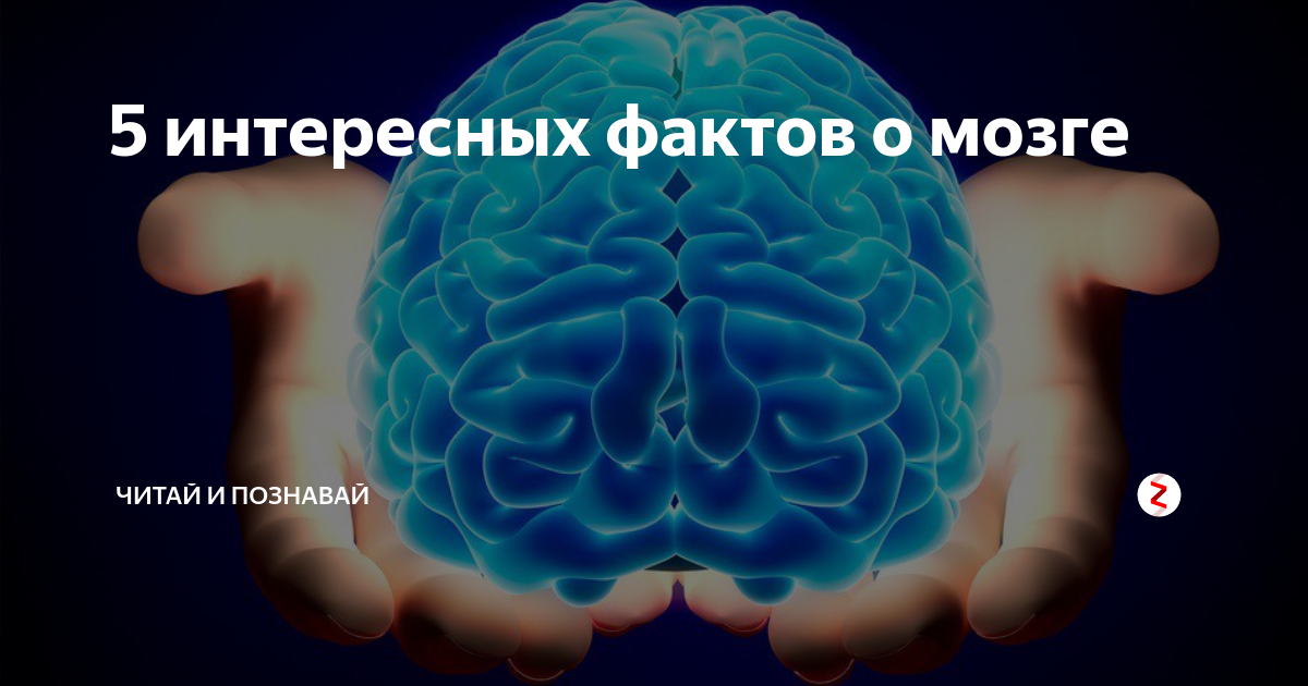 Нейрохакинг это. Наш мозг обманывает. Как наш мозг нас обманывает. 10 Интересных фактов о нашем мозге.