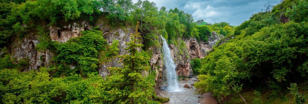 Дикая природа Кисловодска.