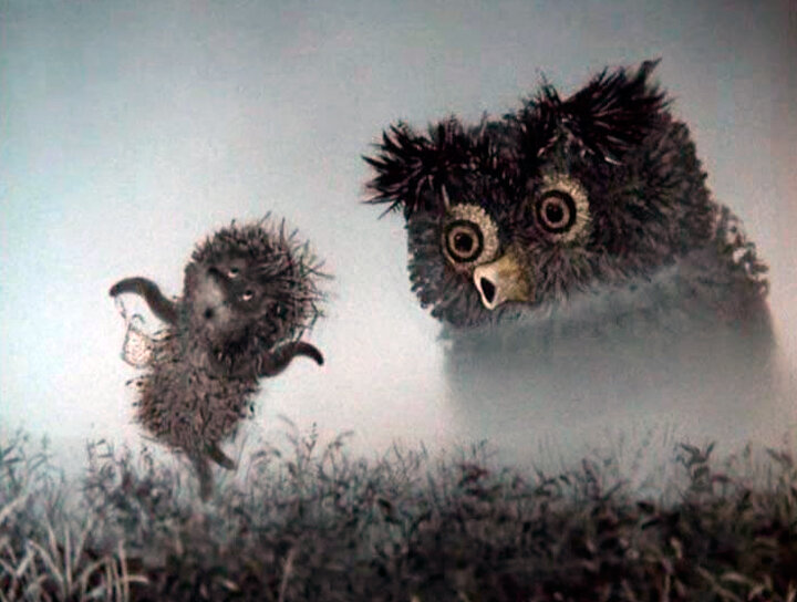 А вот и знаменитая встреча с совой.