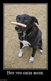 А не то что у меня;)