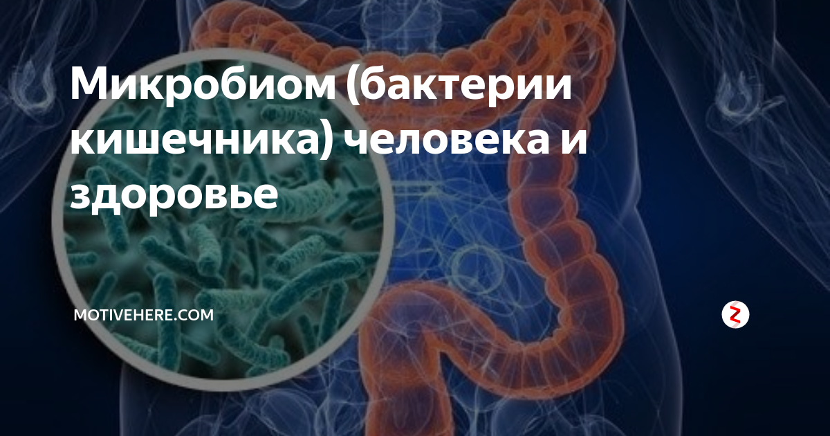 Как восстановить микробиом кишечника. Бактерии в кишечнике человека. Микробиом человека. Микробиом кишечника человека.