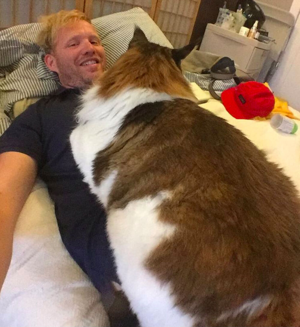 Самая большая домашняя кошка в мире. | с миру по нитке | Дзен