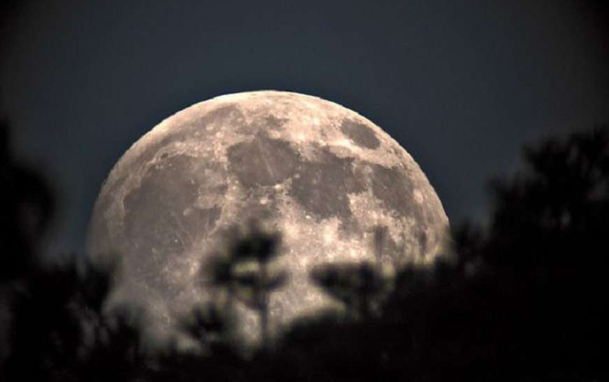 Фото из открытых источников