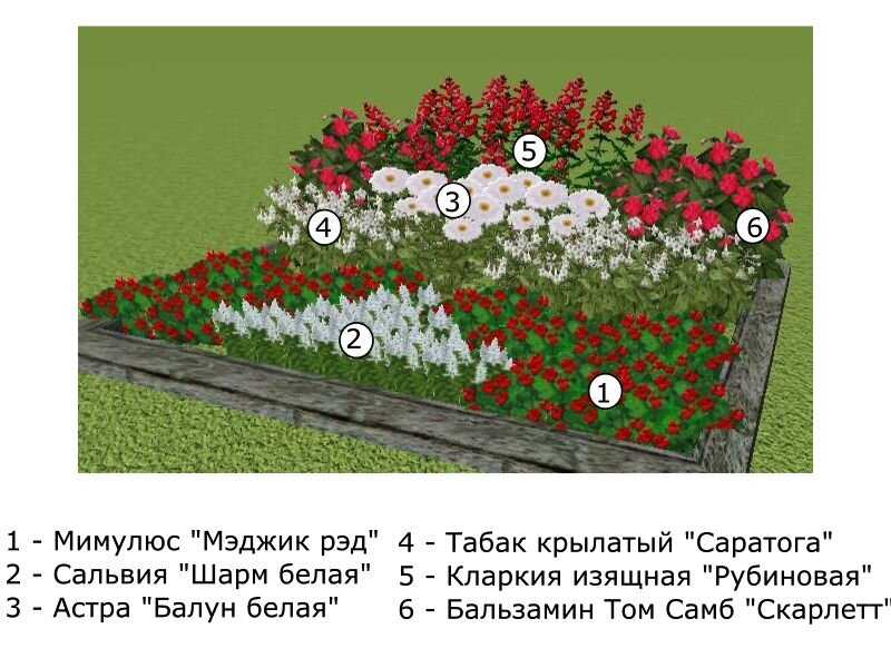 Прямоугольная клумба рисунок