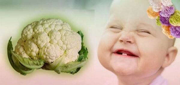 Что приготовить ребенку из цветной капусты: ТОП-5 рецептов