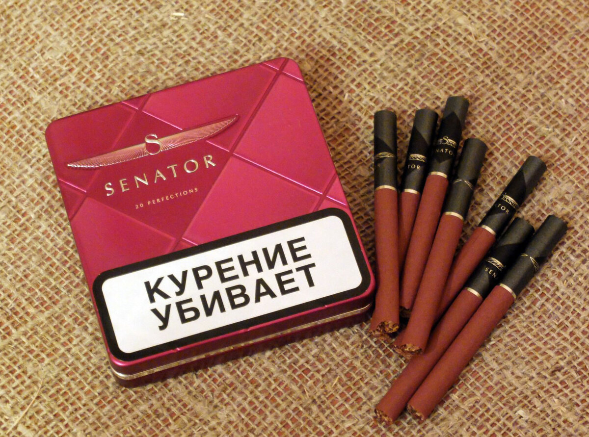 Сигареты Senator Sobranie. Senator сигареты вишня. Сигареты вишневые сенатор. Сигареты собрание сенатор.