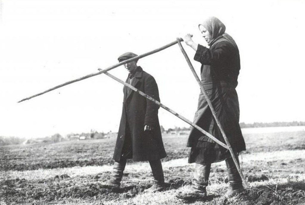 землемеры землемерят