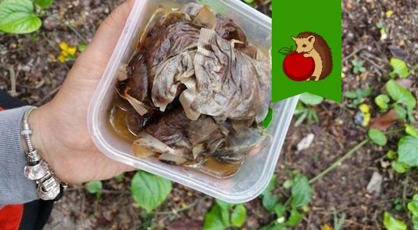 Фото: https://www.ogorod.ru/images/cache/640x352/crop/images%7Ccms-image-000044232.jpg