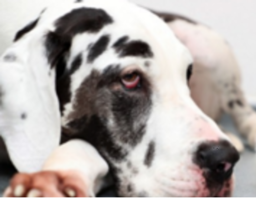 Пишите комментарии, делитесь публикацией с друзьями в соц. сетях. Спасибо.