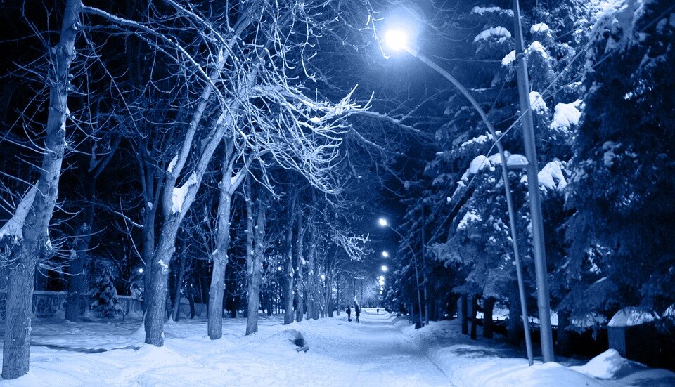 фото с сайта: pixabay.com