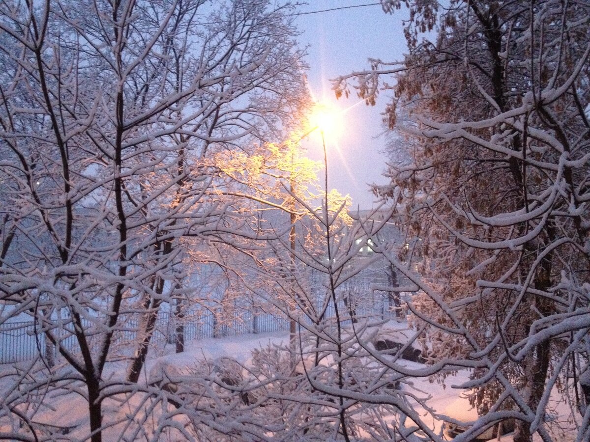 Зима рассвет москва