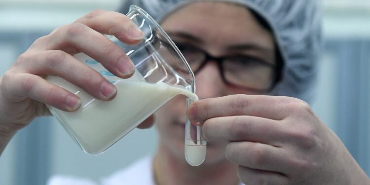 Фото: mk.tula.ru