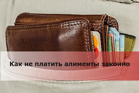 Фото: pixabay.com