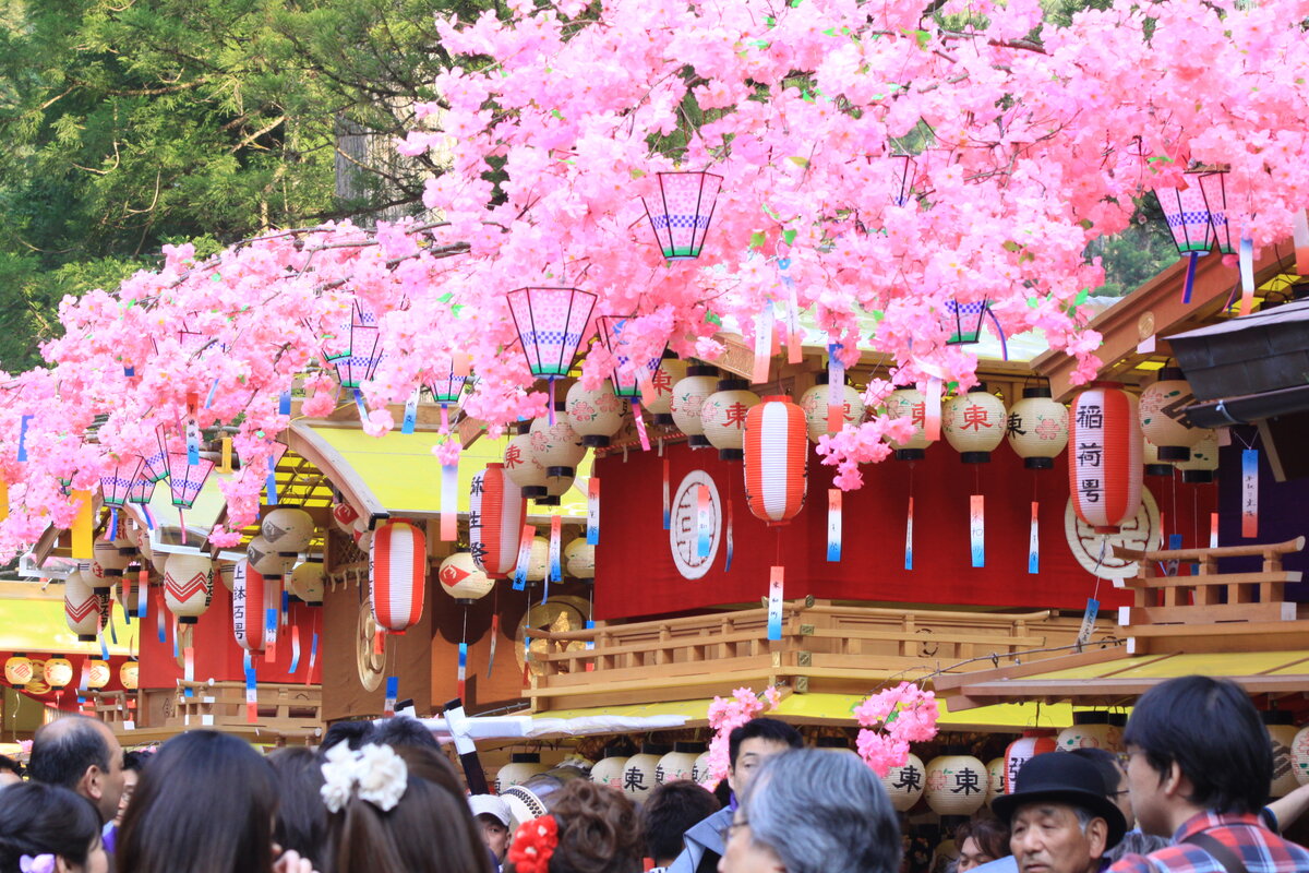фестиваль хризантем в японии