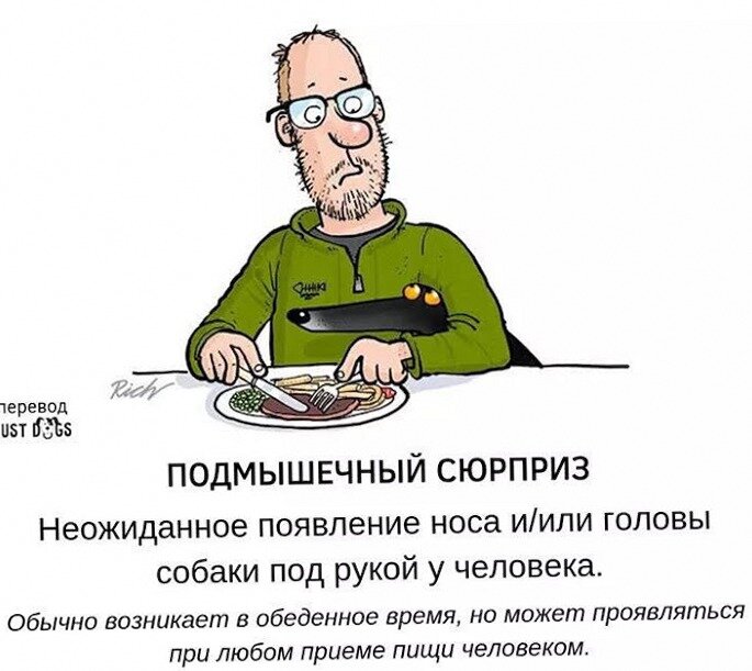 Перевод Just Dogs. Тоже вариант подкрепленного поведения. 