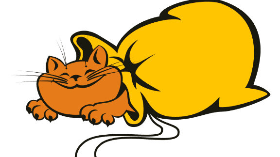 Фото с сайта https://ava.md