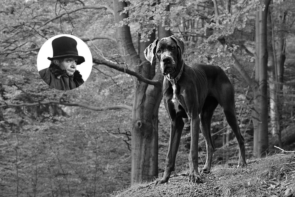 Вениамин. Использовано фото mtajmr.