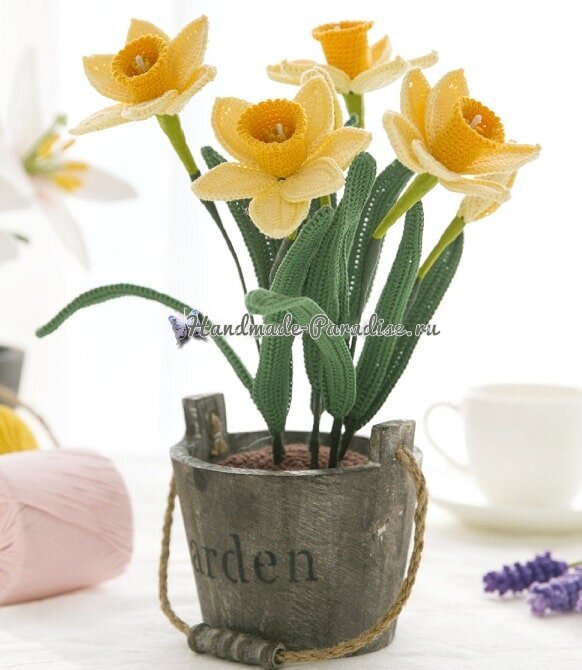 Цветы крючком — Нарциссы