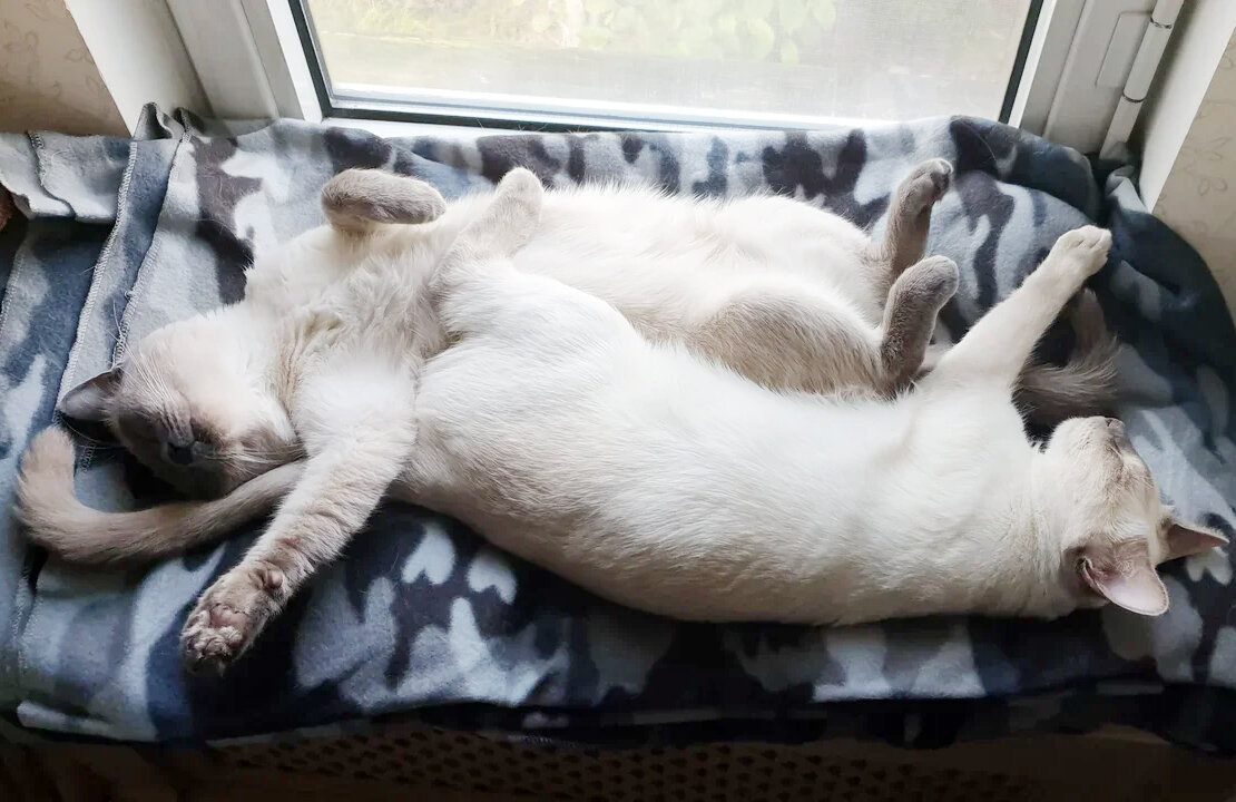 -2