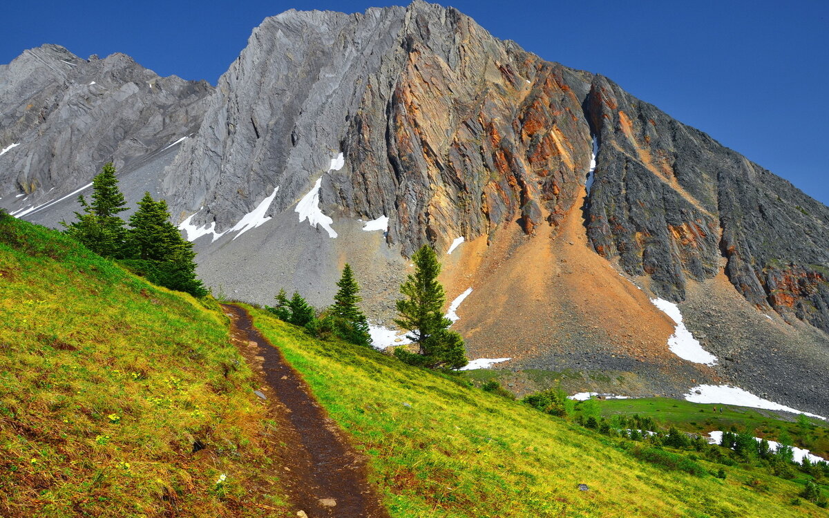 Монахи внутри там