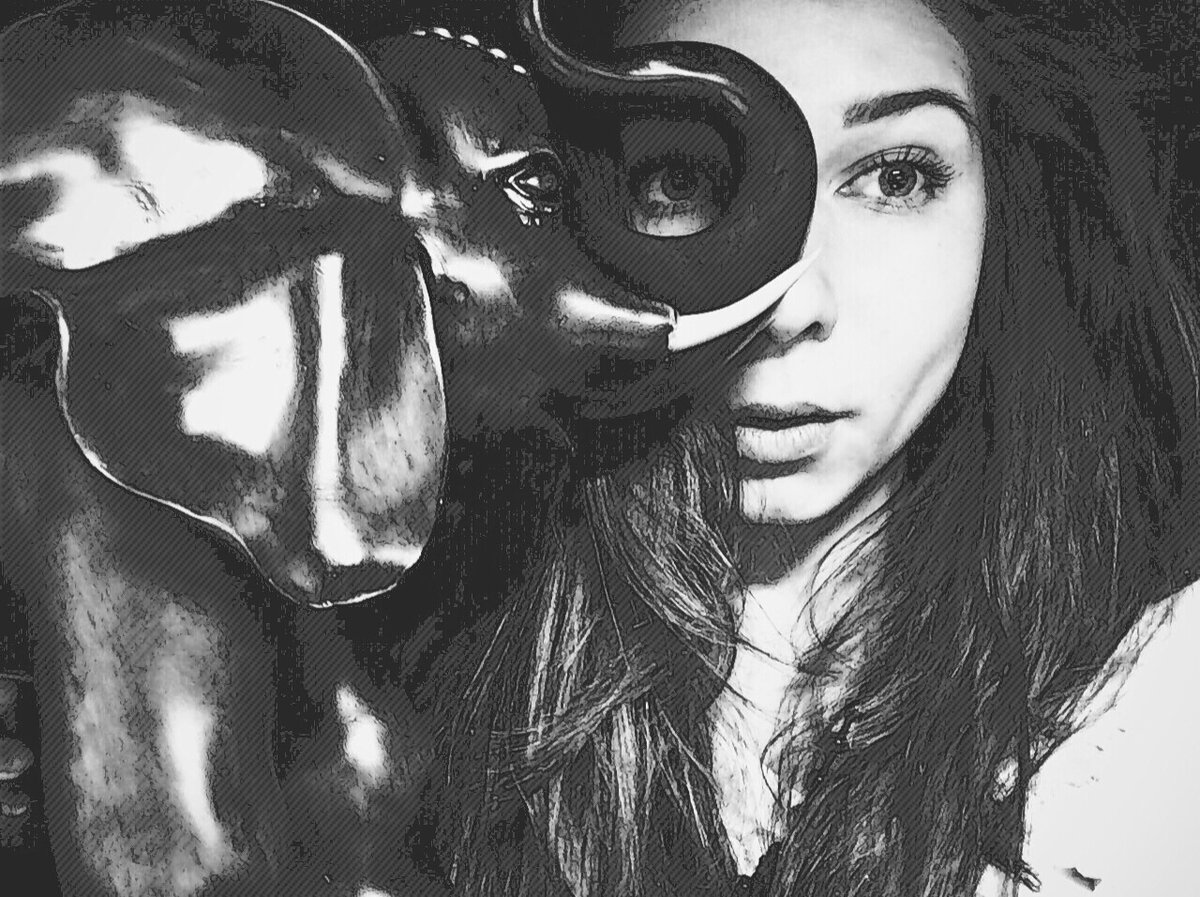 Я и мистер Слон