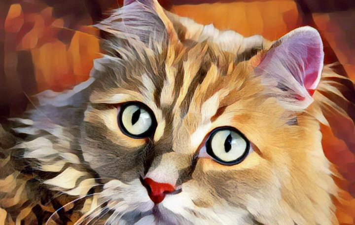 фото из просторов интернета, художественная обработка автора. 