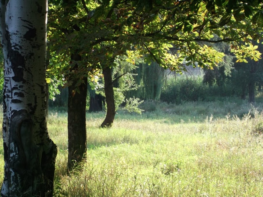 Пятнадцатая Гармоника – Галактическая Матрица… 
В Белом Замке Пересечения -
САМОРЕГУЛИРУЙ ВСЕЛЕНСКИЙ ОГОНЬ ЦЕЛОСТНОСТИ….
Силой Пространства…
Пятая Волна БЕН – Небохода Странника -
ДАО Избранника…
Или Странницы – Ксении – Синицы…
Радужной волны – Вечности Птицы…
Солнечный Выдох Марса…
Энергия Ростка…
Бриллианты Сентября ….
Плазма СЭЛИ. Земли Корень – Сила Аватара…
И ЗвуЧИТ – ХРАМ… ХРАМ… ХРАМ…
В унисоне – ПАДМАСАМБХАВА -
«Моя Мать – Изначальная Сфера. Я вижу Свет!» -
Всему Миру в ответ…
ПЕТ-РА сияет… Зовёт…
Великая Мать - ведёт…

Хо Кабан, Кин 57 -
Я наделяю силой, дабы развивать,
Управляя синхронностью.
Я опечатываю матрицу Навигации
Обертонным тоном сияния.
Я ведома мощью жизненной Силы.
Я с благодарностью принимаю пятый Тон Источника.
Я самостоятельно принимаю решения. Я – дирижёр!
Я свободен и независим! Я – голос Единого.
Я – всепроникающий обертон. Я – Любовь...
С обертоном – высшим тоном сияния,
Я иду в энергиях совершенства….
Осеннего Блаженства….

Обертонная Земля (Уран), ХО КАБАН, даёт старт программы Красного Небесного Странника (Марс), в направлении осуществления. Определение формы ведёт к её светимости. Свет исходит из самого сердца нашего существа….
….Красная Земля, в пятом тоне показывает на мощное продвижение Волны и показывает, что на Земле модулируются энергии пространства и времени. Это означает, что все существа, связанные с Землёй, Единым Целым, участвуют в этом процессе. Земля является платформой независимого поля регуляции энергии пространства и времени….

Активация Девятого Кодона – «ДИСЦИПЛИНА» . Генезис Действия – согласно Порядка Новых Небес…
И образ И-Цзин тонкой Кистью включает Закона Саморегуляции процесс -

#9 СЯО ЧУ = Небо\Ветер Воспитание малым | Мелкий скот
… Эти тучи из прошлого
не приносят дождя….
Западный ветер сух.

Придется вернуться с пути.
Ждать прихода большой Луны….

Девятый генный ключ. Сила бесконечно малого…
КОДОНОВОЕ КОЛЬЦО: Кольцо Света
Сакральное сплетение -
От тени Инертности через Дар Целеустремлённости к Сиддхи Непобедимости…
«Путь в тысячу миль начинается с первого шага»,
«Путь в тысячу миль начинается у вас под ногами»….
- Приручение мечтаний….
- Каждое преднамеренное действие есть магический акт…
- Внутреннее пространство – последний рубеж…
«….безконечно малое становится безпредельным и внутренне пространство ведёт в пространство внешнее….
Поэтому всякий раз, подходя к естественному началу чего-либо — нового цикла, новых отношений, новой жизни, даже нового года, следует хорошо помнить следующую истину: первые шаги являются критически значимыми для вашего дальнейшего развития. Впитав энергию своей мечты, удерживайте её глубоко внутри себя, так как именно она, подобно линзе, фокусирует и воплощает силу магии в реальность вашей жизни….»

«…Время и пространство, сливаются в одно целое – начинают пульсировать и танцевать, твой ум полностью отключается, и ты только с восторгом наблюдаешь, как твоя рука, единая с кистью, наносит мазки на холст…»
- Магия Сентября…Ясный Знак…
Для Странника и Странницы…
Для тебя и Меня…
Сила Петры… Она подчеркивает знание тайны и предвещает раскрытие….
Доверьтесь своей интуиции. Именно в том, чего вы не видите, но о чем можете догадаться, находится ключ к разгадке…..

"Господи, я прошу не о чудесах и не о миражах, а о силе каждого дня.
Научи меня искусству маленьких шагов.
Сделай меня наблюдательным и находчивым, чтобы в пестроте будней вовремя останавливаться на открытиях и опыте, которые меня взволновали.
Научи меня…»

Суть – Будь!
Мир на Земле, в человецех благоволение…..

3S

