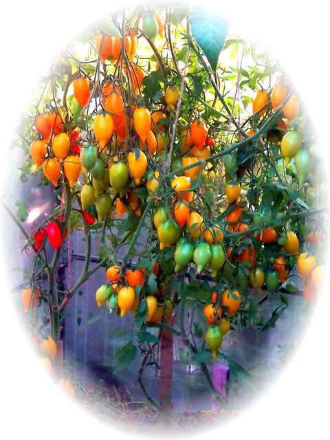 Мир увлечений