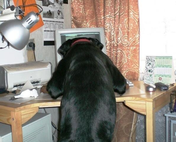 Интернет для всех