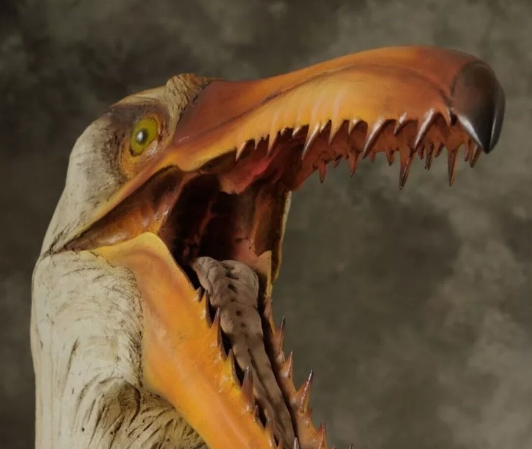 Прожорливый юмказавр. Пелагорнис. Pelagornis Chilensis. Вымершая птица пелагорнис. Динозавр пелагорнис.
