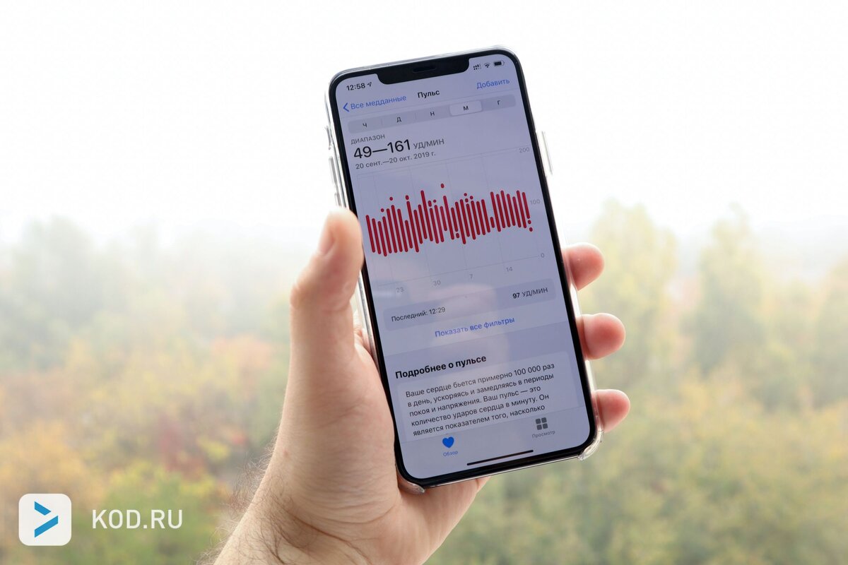 Apple Watch и здоровье: рассуждаем о полезности «умных» часов в самом  главном аспекте нашей жизни | Код Дурова | Дзен
