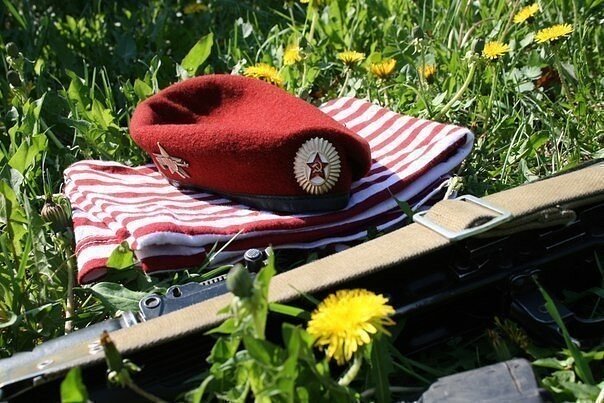 Фото из свободного доступа "яндекс-картинки"