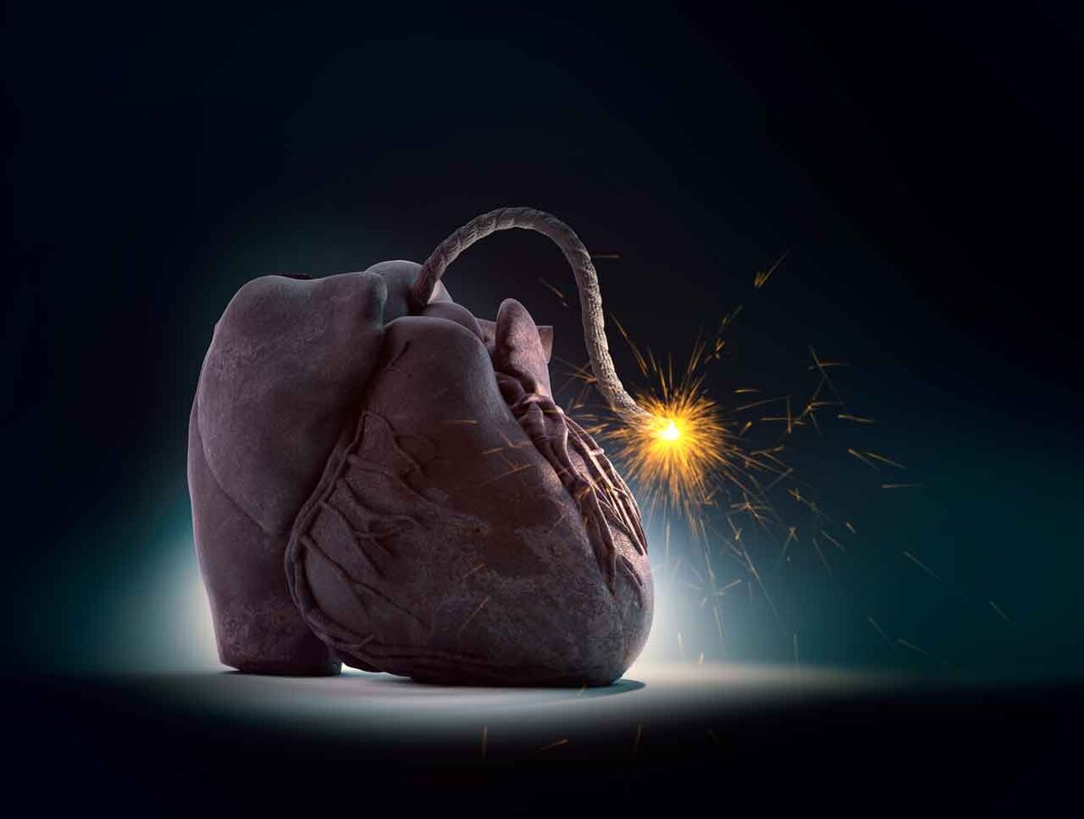 Фото из свободного источника