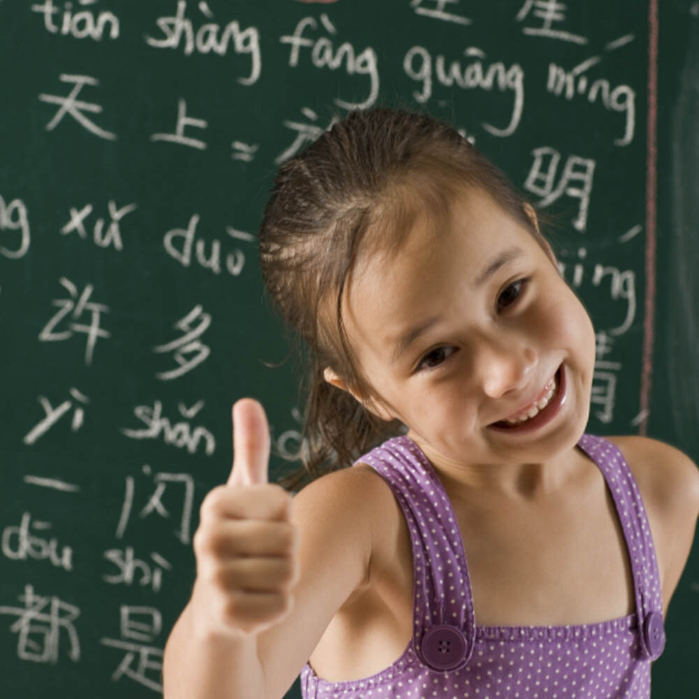 панда курсы китайского языка. занятие по каллиграфии китай. изучение китайского языка для детей. языковая школа китайского языка. реклама курсов китайского языка.