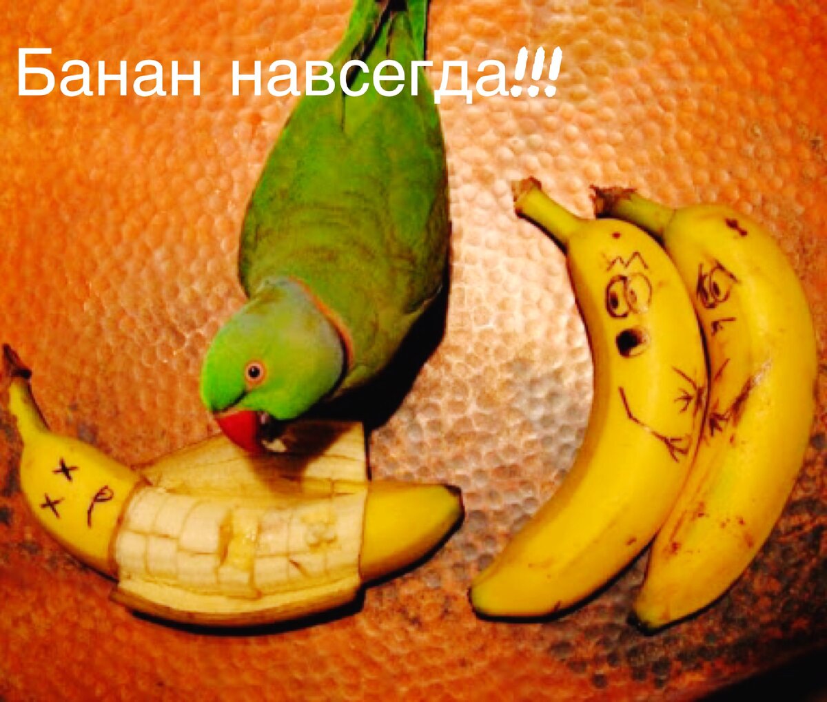 Питайтесь правильными витаминами полезны для здоровья 