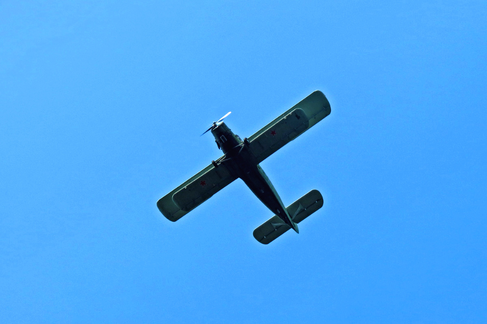 фото взято из открытых источников