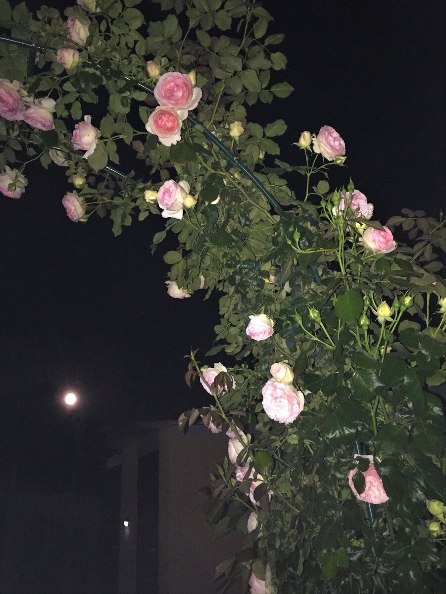 Фото из личного архива.