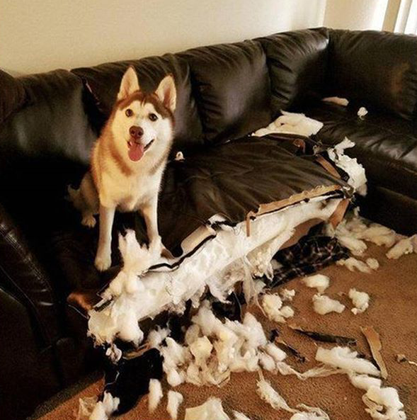 А ведь могло быть намного хуже...