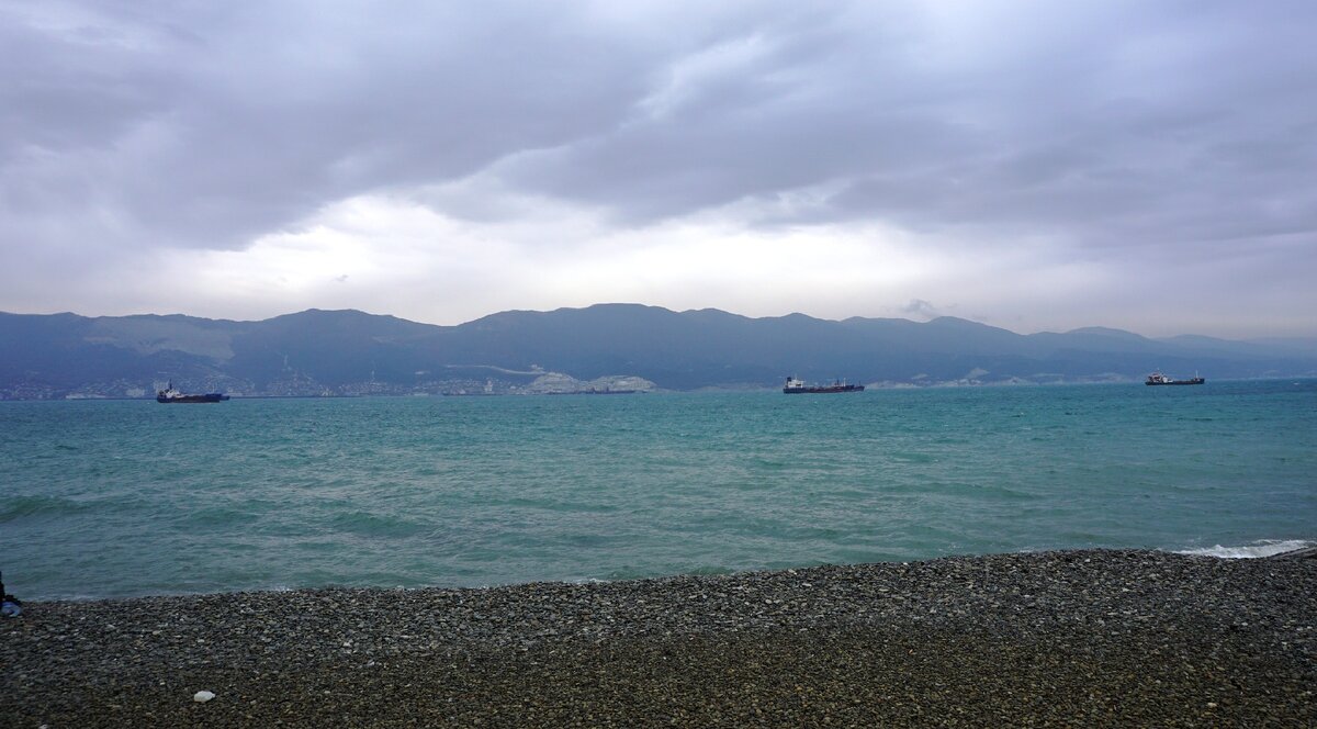 Вот такой берег на пляжах в Новороссийске. Фото автора