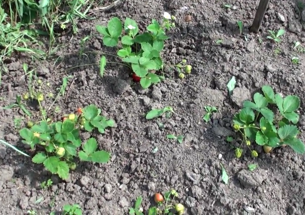 Фото сделано в 2018 г.