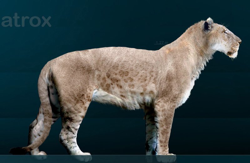 Panthera atrox. Источник изображения: wikimedia.org