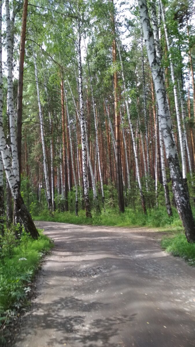 Авторское фото