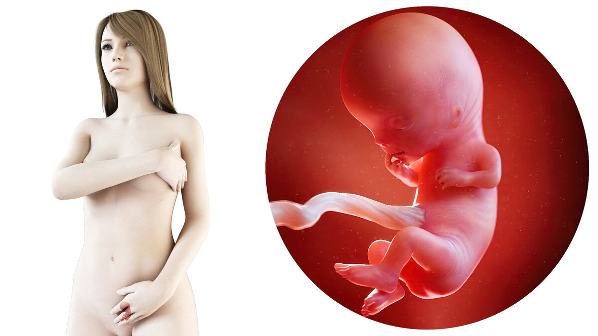 Что чувствует женщина на одиннадцатой неделе беременности