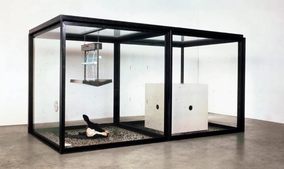 "Тысяча лет". Инсталляция британского художника Дэмиена Херста (Damien Hirst). Фото из открытых источников.
