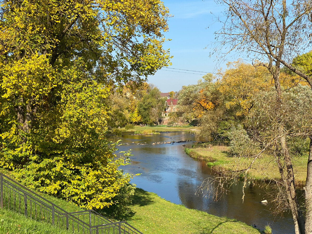 Фото с прогулки