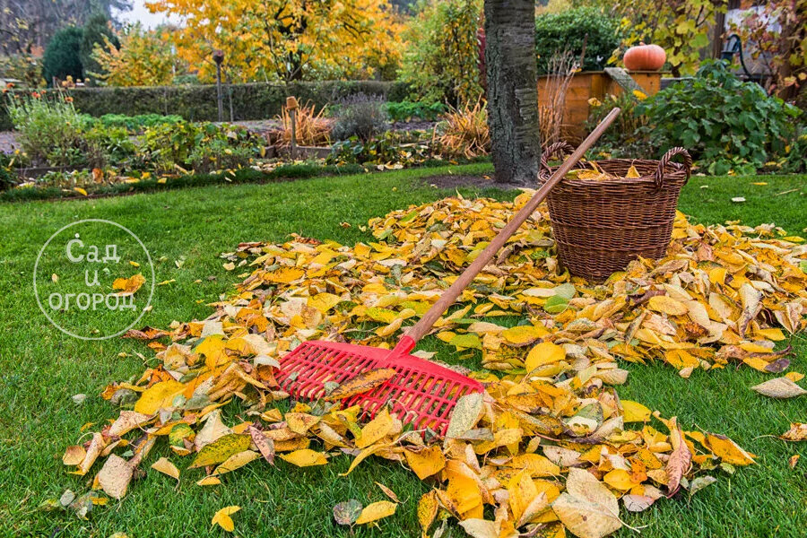 В октябре придется потрудиться на участке не меньше, чем в летние месяцы