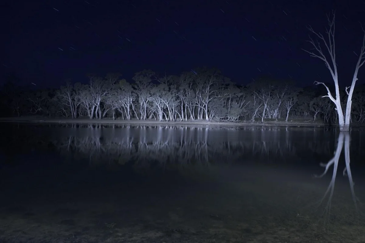 Ужасы озеро. Озеро Мунго. Озеро Мунго 2008. Кино озеро Мунго. Озеро манго Lake Mungo.