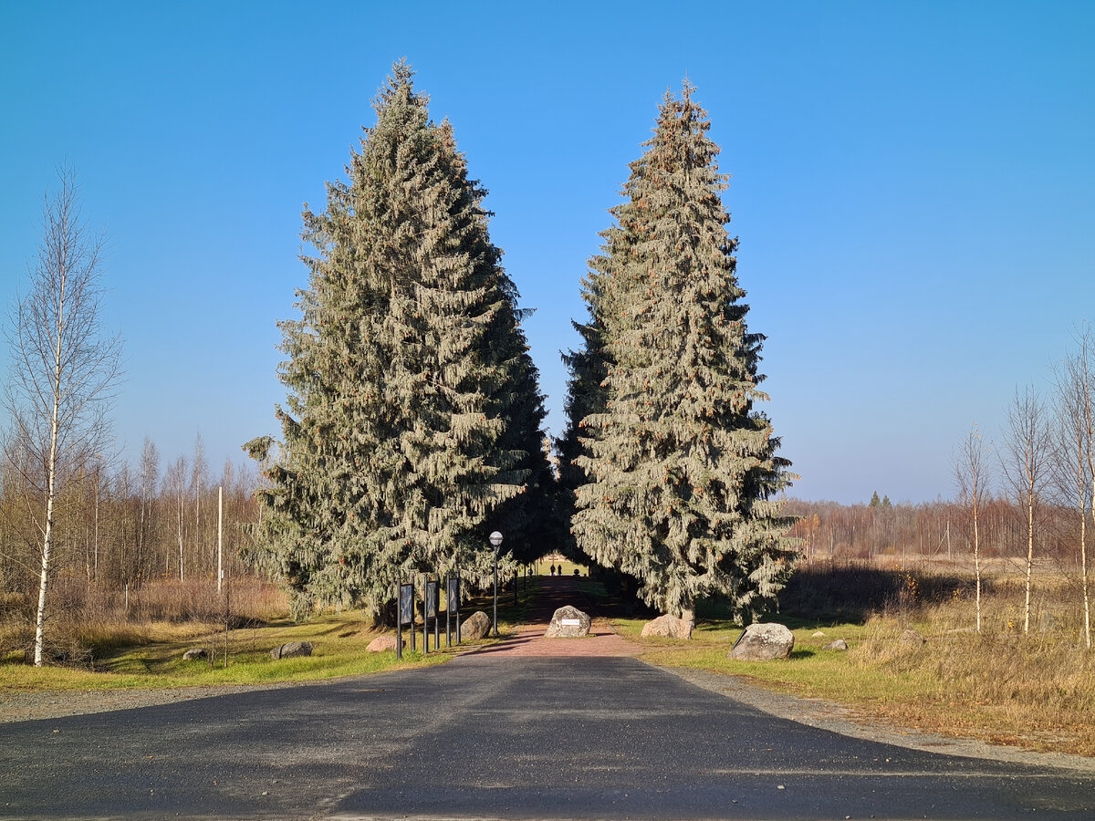 Аллея скорби мемориальный комплекс "Дулаг-100"