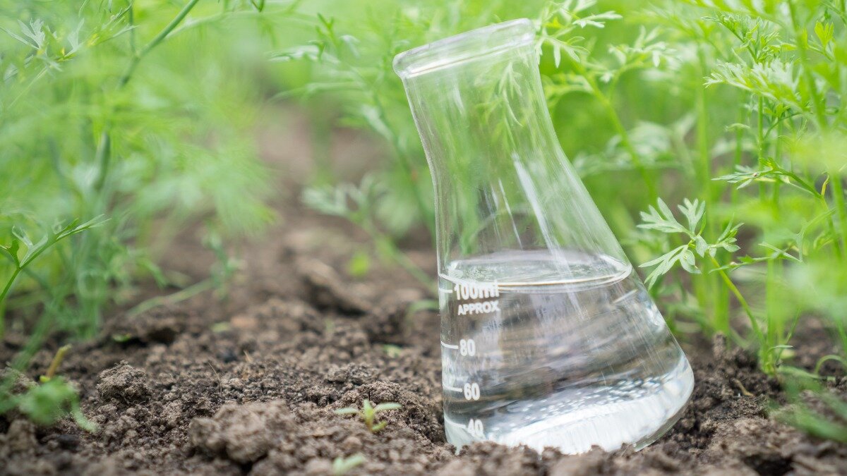 Фото:insideouterbeauty.com Средство на основе РНК может заменить пестициды