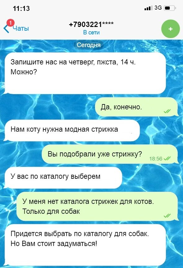 Все изображения автора.